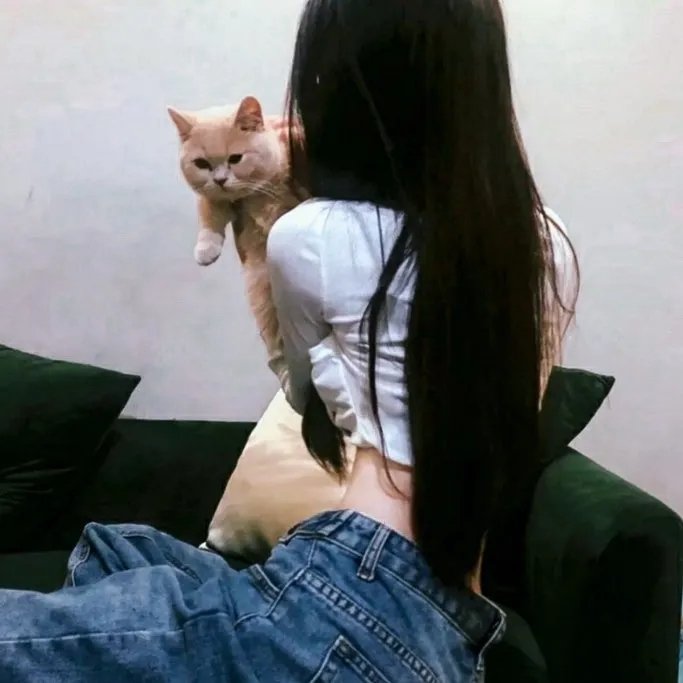 七小汪警犬队